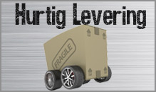 Dag til dag levering