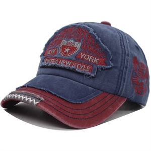 Red and Blue / Retro New York Cap