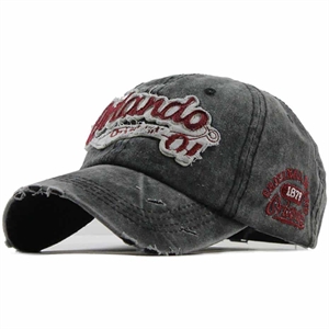 Orlando grey cap